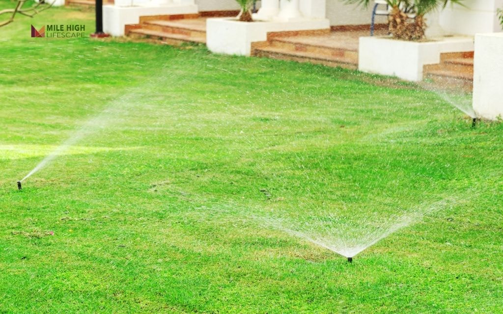 How Much Water Does New Sod Need in Denver?