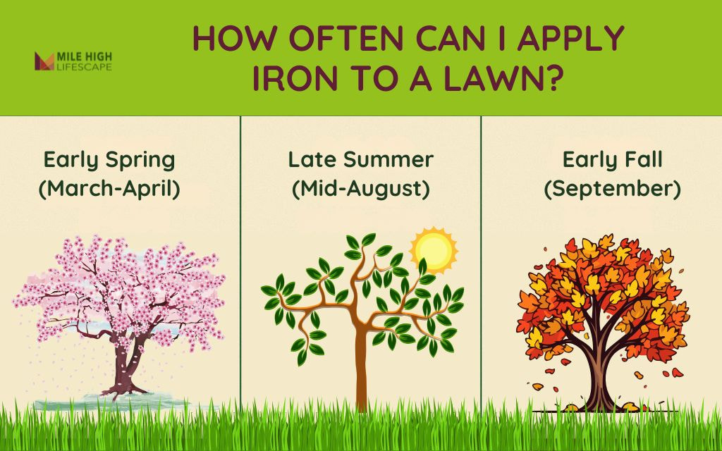 How Often Can I Apply Iron to A Lawn in Denver?