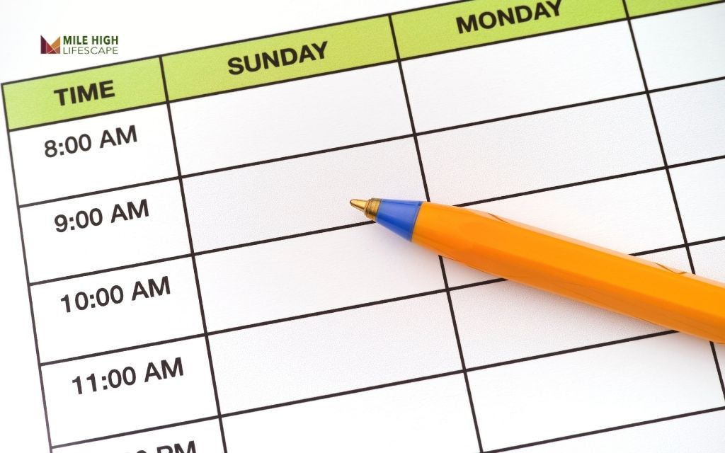 How to Adjust Your Watering Schedule Based on Season