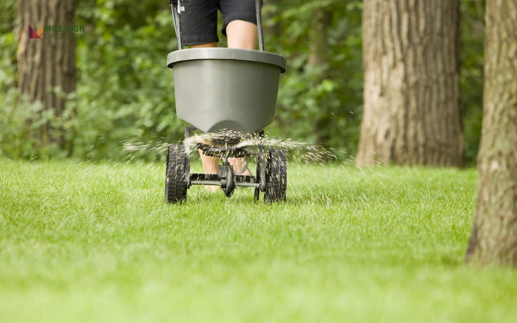 How to Apply Fertilizer to New Sod