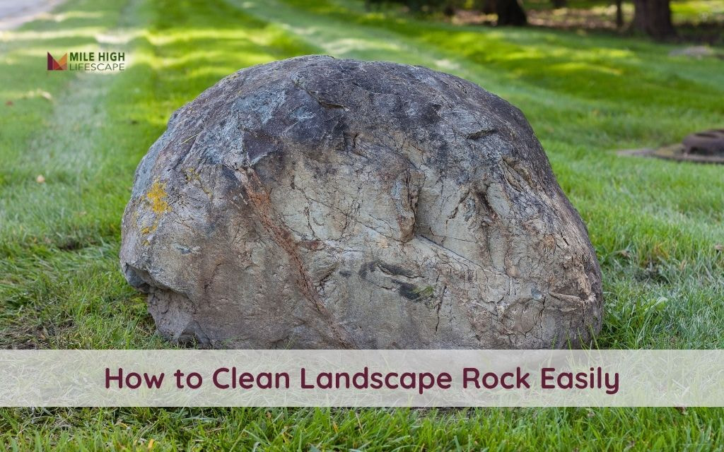 How to Clean Landscape Rock Using Simple Methods That Work: Complete Guide