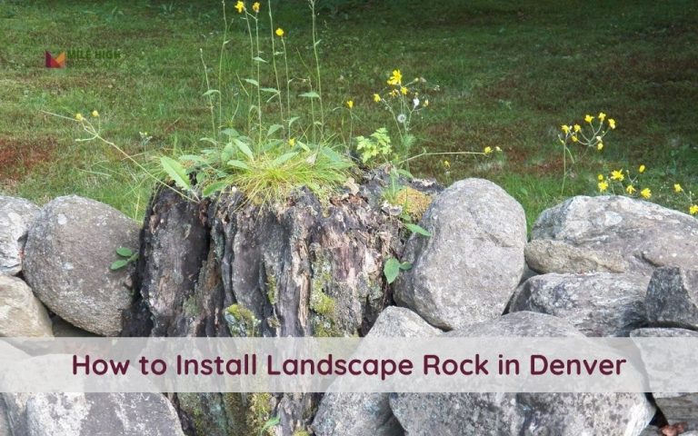 How to Install Landscape Rock in Denver: Brief Guide for Durable Outdoor Design