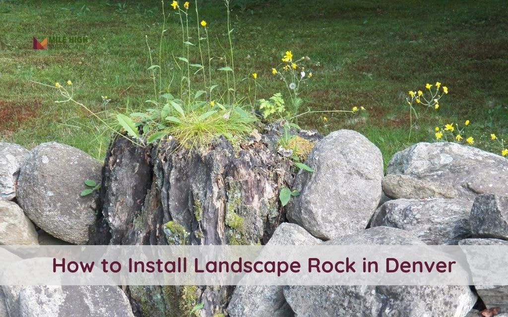 How to Install Landscape Rock in Denver: Brief Guide for Durable Outdoor Design