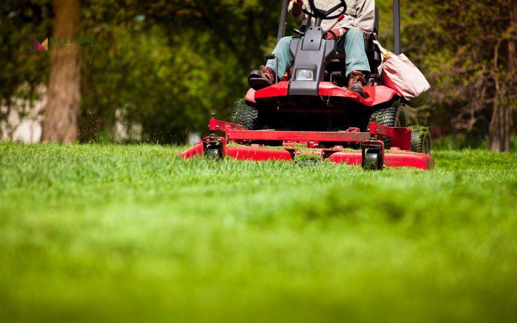 How to Mow New Sod the Right Way