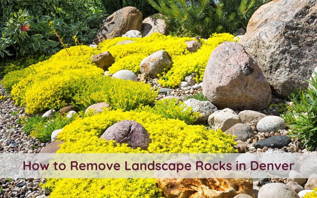 How to Remove Landscape Rocks in Denver: A Step-by-Step Guide for Homeowners