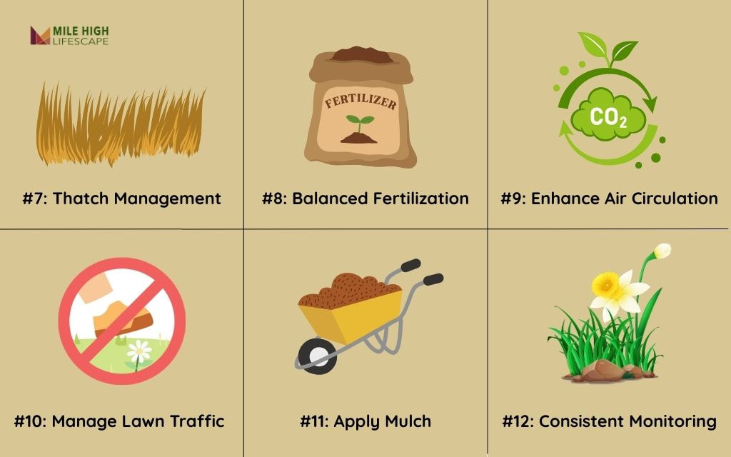 How to Restore a Lawn Afflicted with Fungus (Part 2)