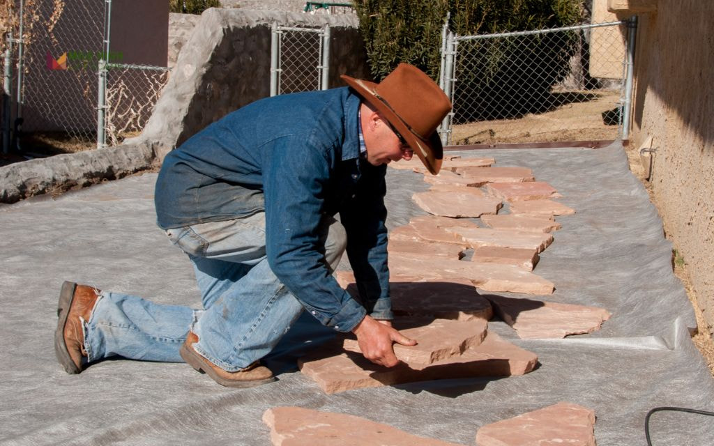 How to Xeriscape Your Yard in Colorado