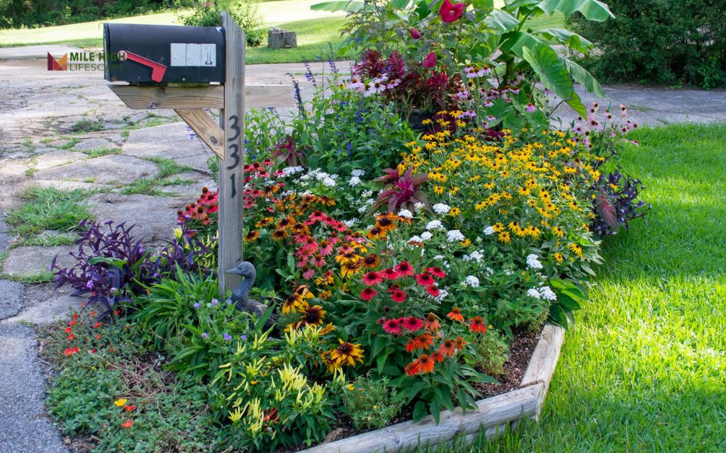 Mailbox Garden with Pollinator Mix