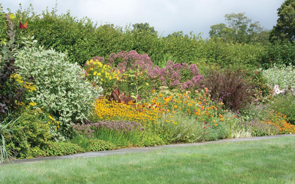 Meadow-Style Back Border