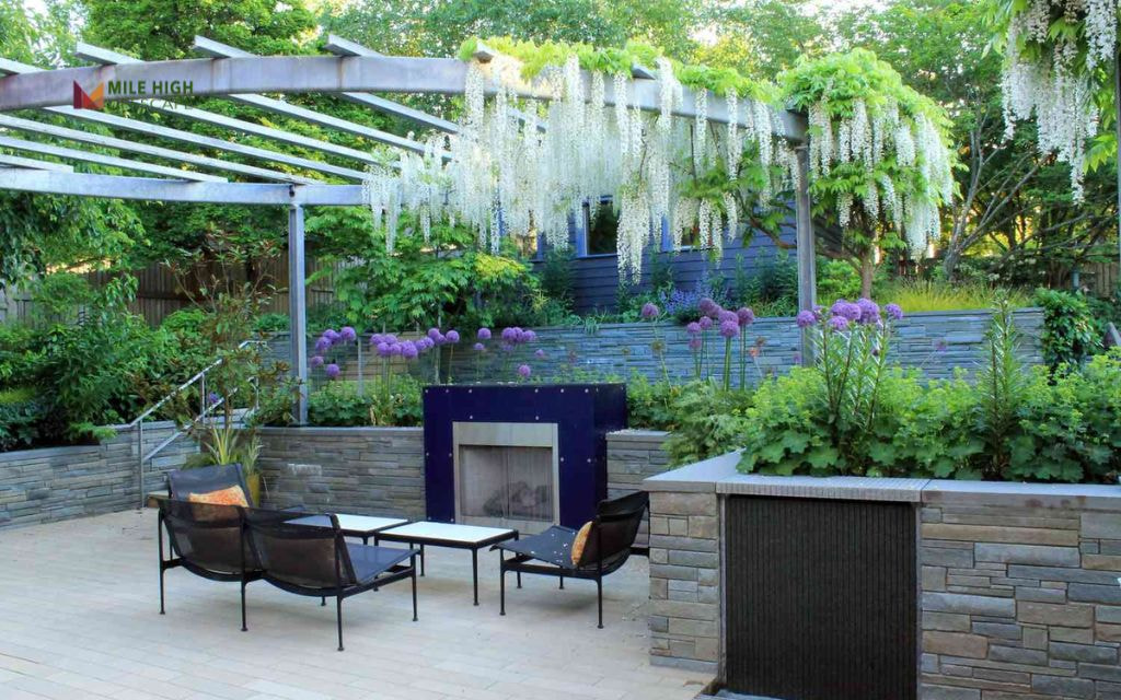 Modern Grid Patio with Groundcover