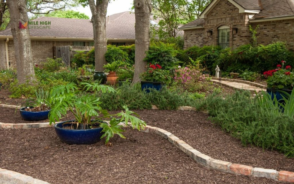No-Lawn Front Yard with Mulch Base