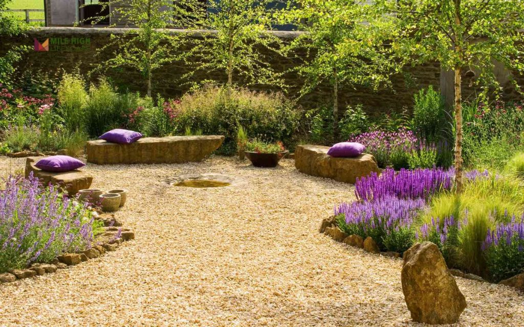 Other Factors That Affect Xeriscaping Cost