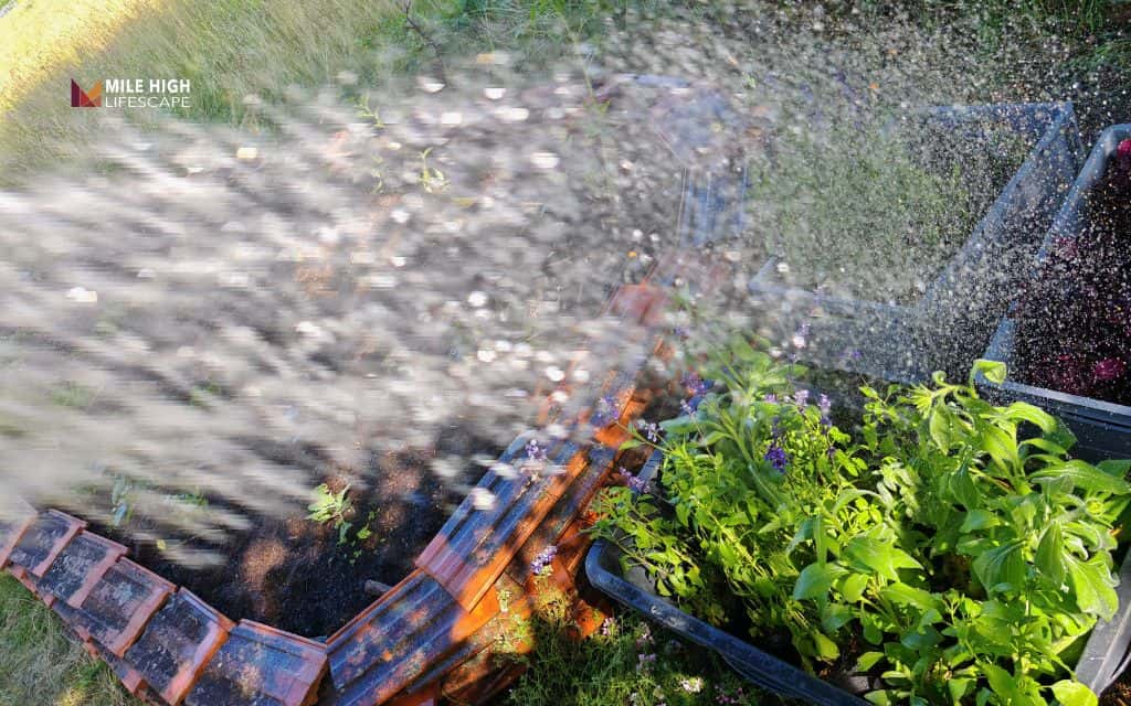 Soft Spots in Yard Causes: Overwatering the lawn