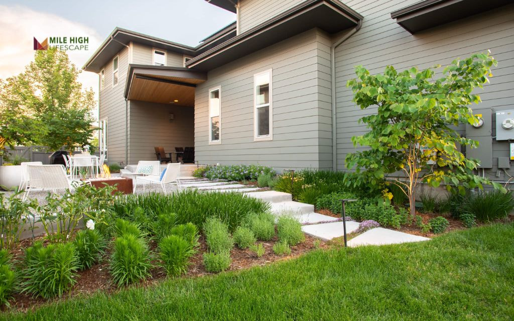 Play-Ready Drought-Resistant Turf Zone