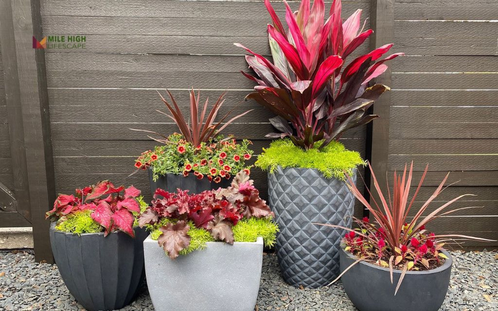 Rock Garden Container for Patios