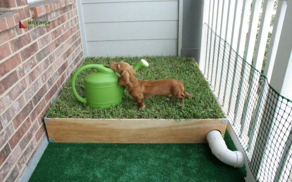 Self-Draining Potty Corner