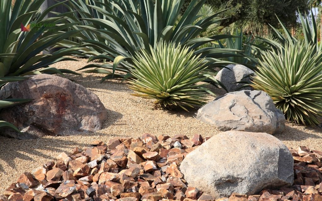 Should You Remove Your Landscape Rock?