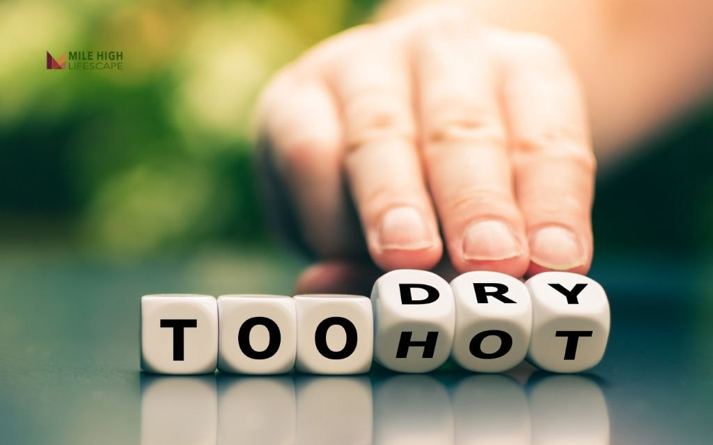 Signs It's Too Hot to Mow