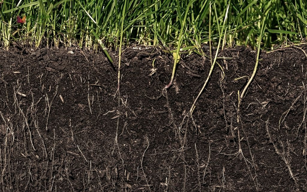 Sod Ground Prep Cost