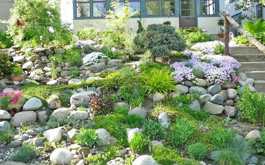 Stone Garden with Seasonal Anchors