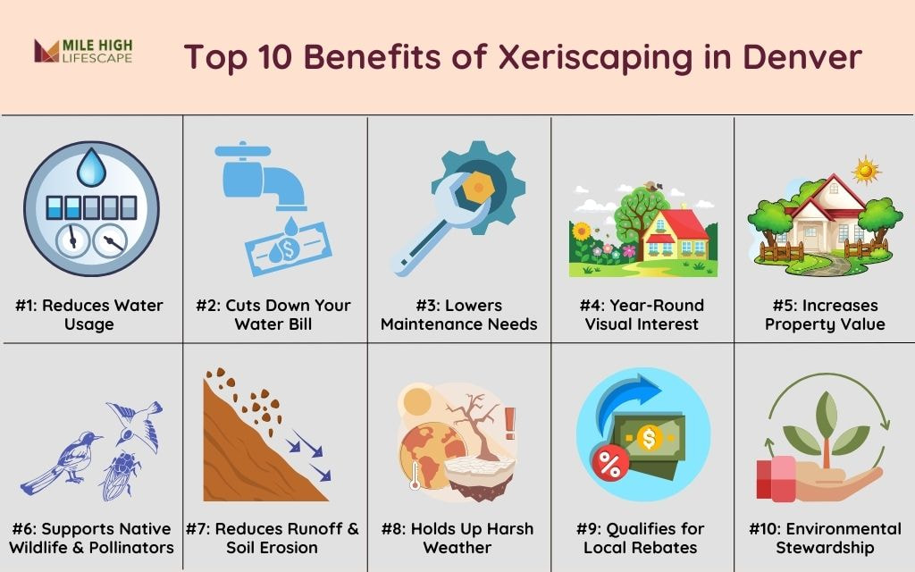 Top 10 Benefits of Xeriscaping in Colorado