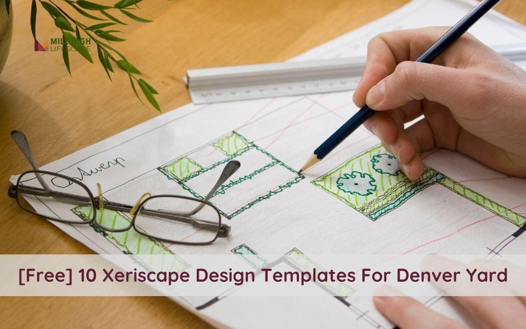 Transform Your Yard with These 10 Free Xeriscape Design Templates (Very Simple)