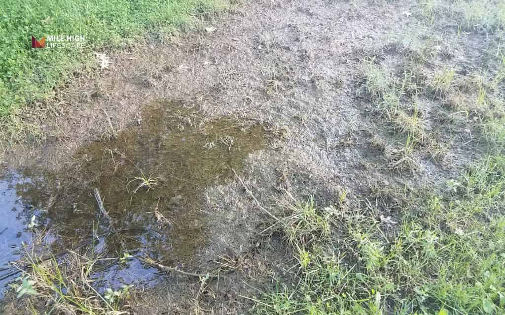 Soft Spots in Yard Causes: Underground water leaks