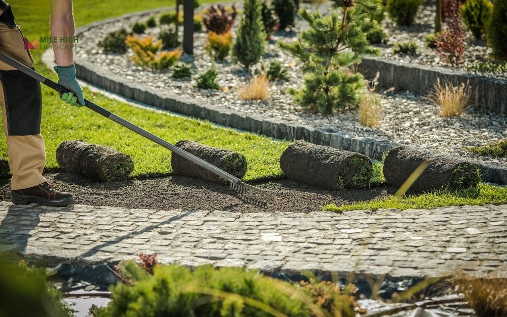 When is the Best Time to Lay Sod in Denver?