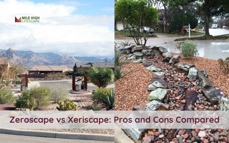 Zeroscape vs Xeriscape: Understanding the Pros and Cons for Your Yards