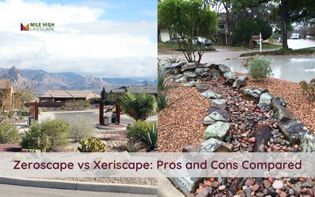 Zeroscape vs Xeriscape: Understanding the Pros and Cons for Your Yards