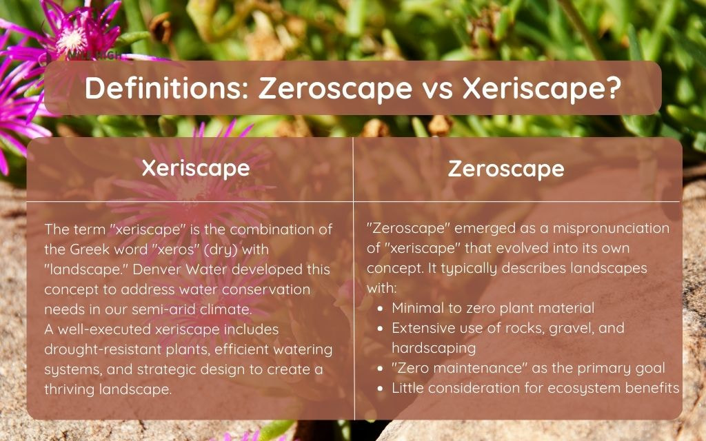 Zeroscape vs Xeriscape
