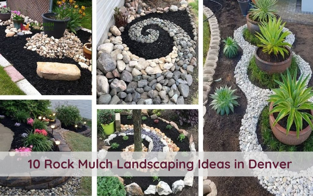 10 Creative Rock And Mulch Landscape Ideas to Replace Traditional Mulch in Denver