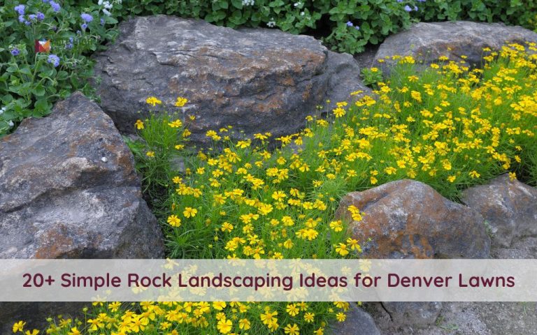 20 Simple Rock Landscaping Ideas for Denver Lawns with Low Maintenance Needs
