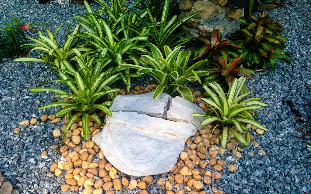 20 Simple Rock Landscaping Ideas for Denver Lawns