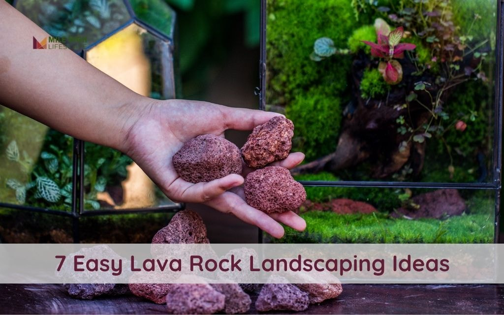 7 Lava Rock Landscaping Ideas for Creating a Drought-Resistant Denver Yard