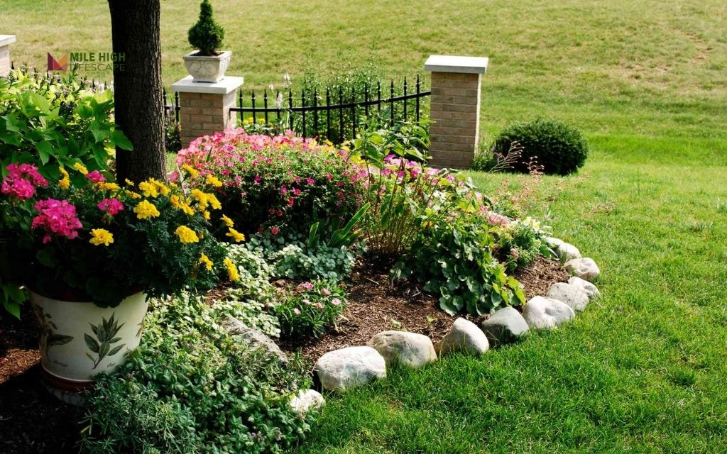 Border Flower Bed with Rocks and Low Grasses