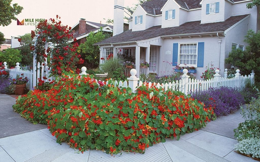 Curved Flower Bed Along Sidewalk with Colorful Perennials
