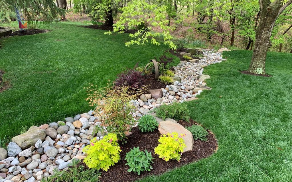 Dry Creek Bed