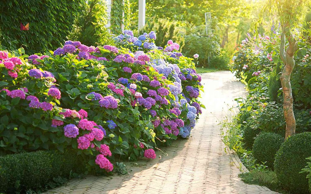 Evergreen-Centered Flower Bed with Color Accents