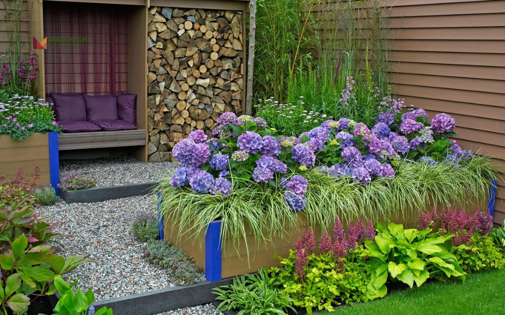 Gravel Yard Conversion with Potted Plants