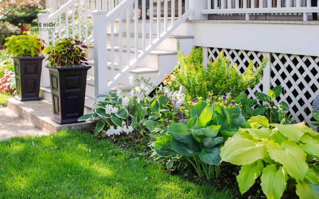 Hostas and Coral Bells for Shaded Porch Edges