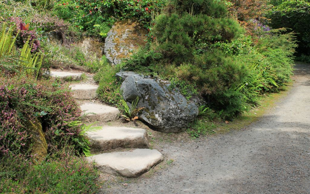Pathways with Stepping Stones and Gravel