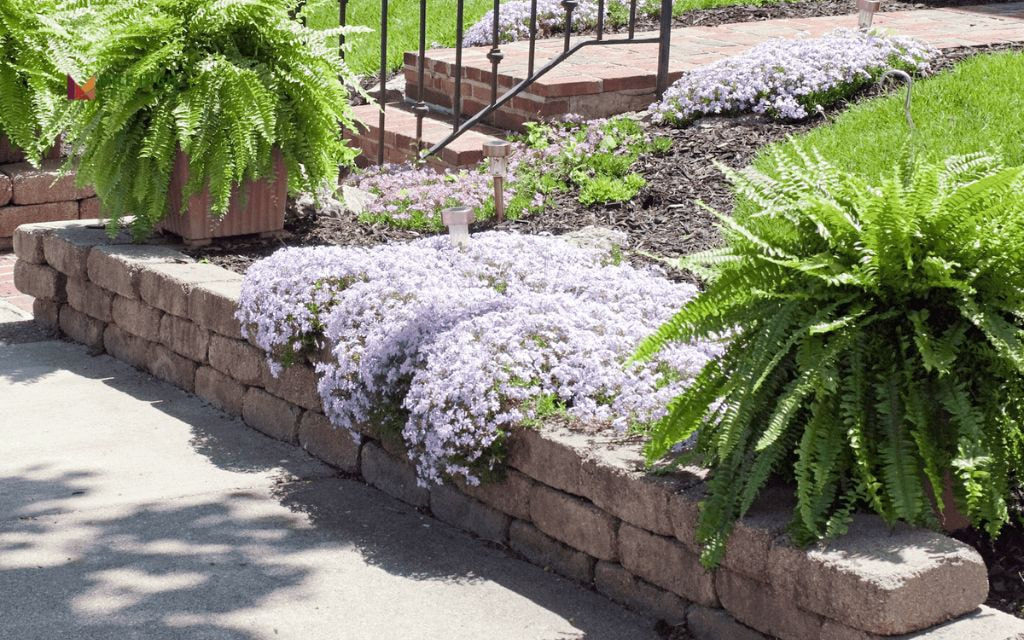 Retaining Wall Flower Beds with Cascading Florals