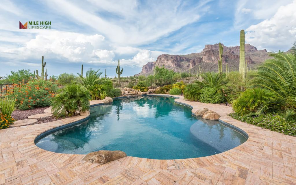 Rock & Cactus Island Feature