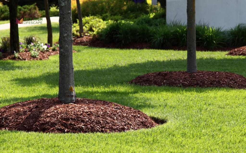 Rock Mulch Under Trees with Mulch Accent Rings