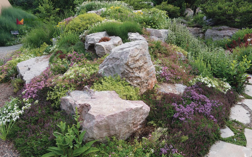 Rock Planting Pockets and Containers