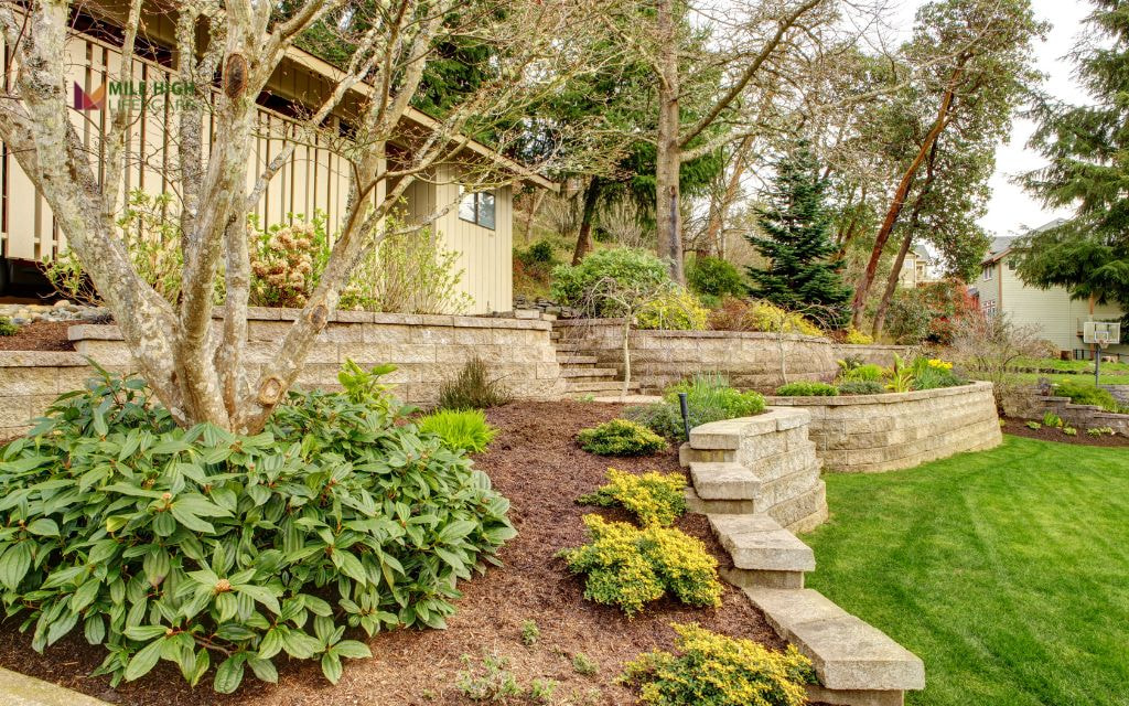 Rock Retaining Walls and Terraces