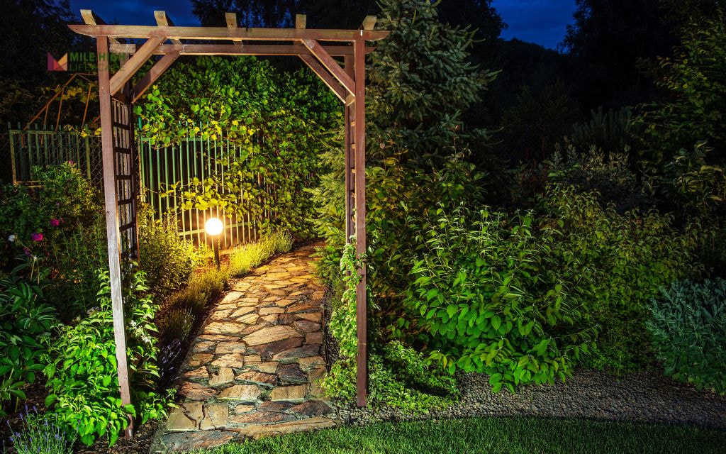 Solar Lighting and Pathway Stones Between Flower Groups