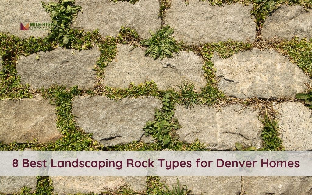 Top 8 Landscaping Rock Types for Designing a Denver Yard in Colorado's Climate