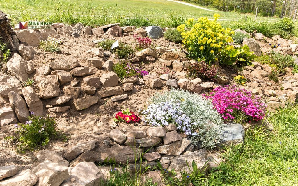 Which Rocks Should You Use for Landscaping Around Pool with Rocks